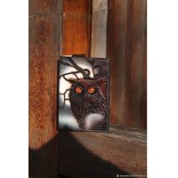 Night Owl Diary Cover