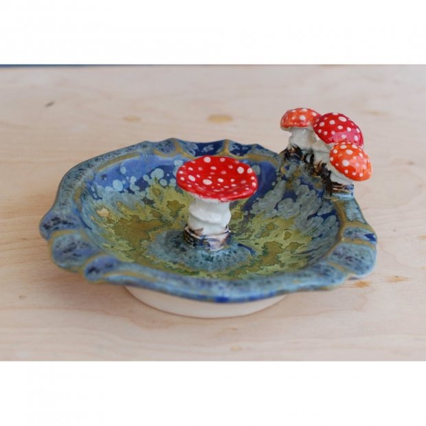 Fly Agaric In Swamp Plate