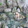 The Lord of The Rings - Water Fountain Gollum Diorama