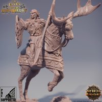 A spearman from a gang of marauders Figure (Unpainted)