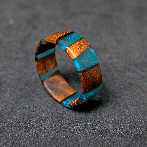 Segments V.2 Ring