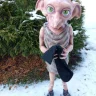 Harry Potter - Dobby the House Elf Figure