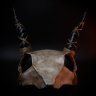 Shamanic Skull Mask