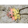 Autumn Maple Pendant Necklace