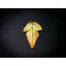 Golden Physocarpus Opulifolius Pendant Necklace