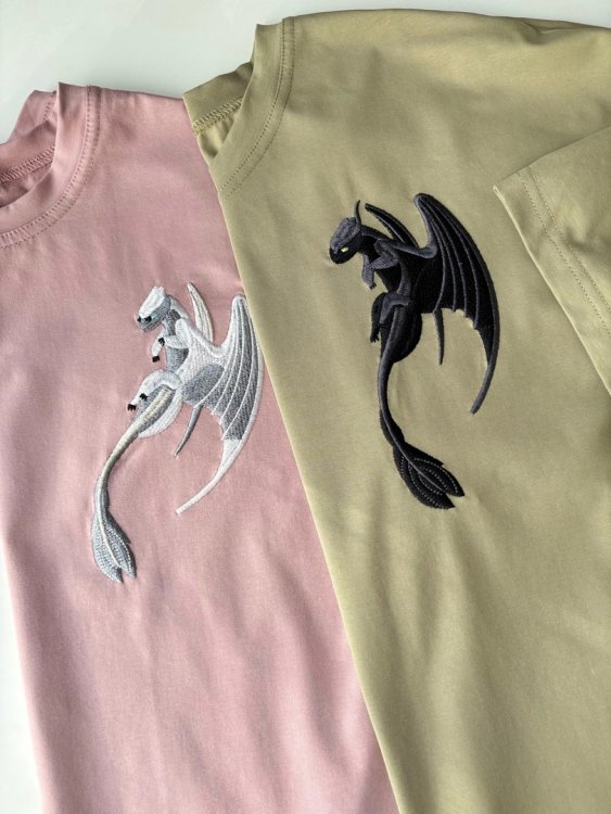 How to Train Your Dragon T-shirts (2pcs)