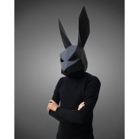 Rabbit Mask 3D Building Set