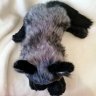 Black Fox Soft Toy