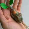Adenium Flower Keychain