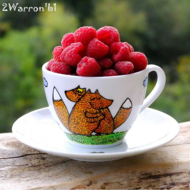 Hugging Foxes Mug with Saucer