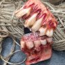 Zombie Lighter case