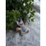 Cute Cat Brooch