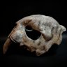Saber-tooth Skull Mask