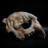 Saber-tooth Skull Mask
