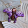 Purple Butterfly Brooch
