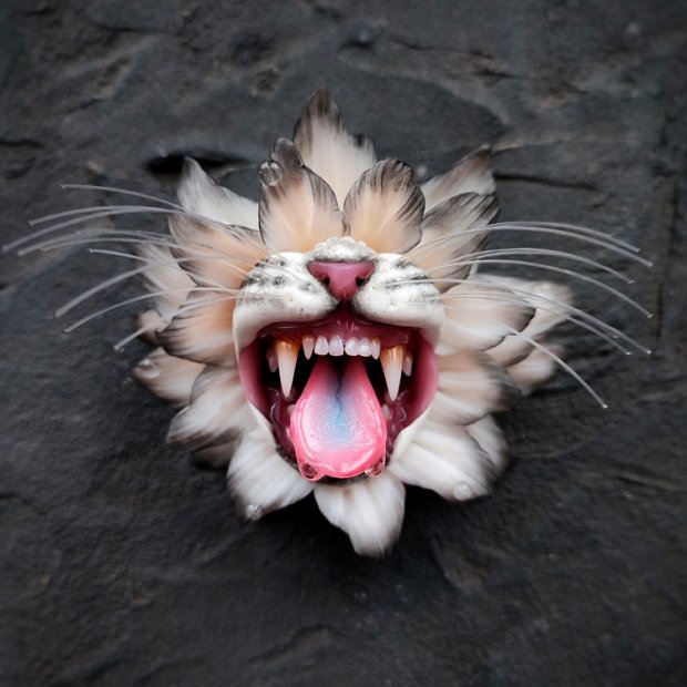 White Tiger Flower Barrette