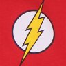 Official DC Comics - Flash Logo Zip-Up Hoodie