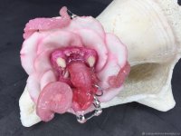 Tooth-flower Rose Brooch-pin