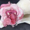 Tooth-flower Rose Brooch-pin