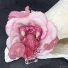 Tooth-flower Rose Brooch-pin