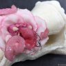 Tooth-flower Rose Brooch-pin