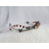 Lord Of Moths Diadem