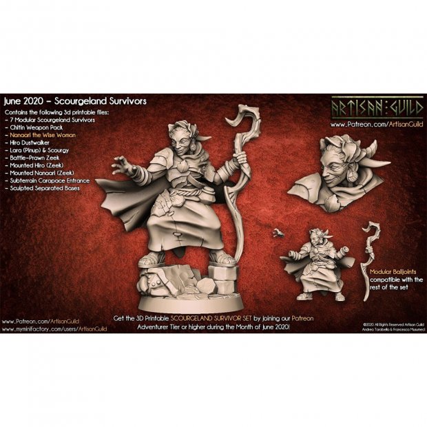 Nanaari the Wise Woman Figure (Unpainted)