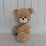 Little Bear (25 cm) Plush Toy