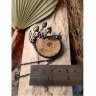 Mushroom Ammonite Necklace