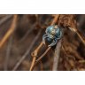 Steampunk Spider Brooch