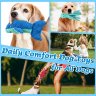 Squeaky Crinkle Plush Dog Toys (5 Pack) | Durable Chew Toys