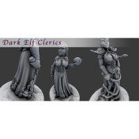 Dark Elf Clerics Figure (Unpainted)