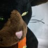 The Masterful Cat Is Depressed Again Today - Yukichi Plush Toy