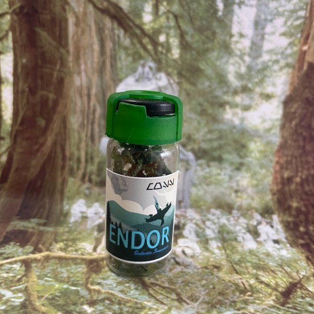 Star Wars - Endor Galactic Souvenir Figure