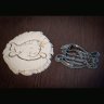 Little Mermaid-Inspired Cookie Cutters Set