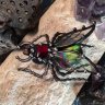Red-green Scarab Brooch