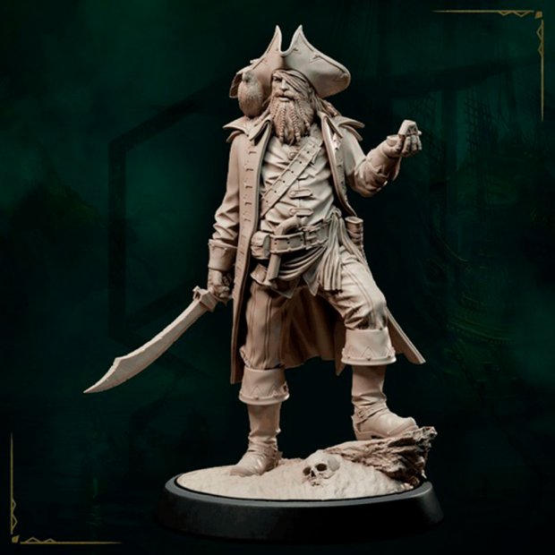 Matt Jones, the Pirate with the Magic Compass Figure (Unpainted)