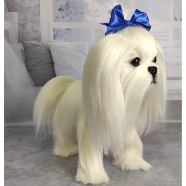 Maltese (25 cm) Plush Toy