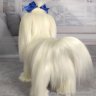 Maltese (25 cm) Plush Toy