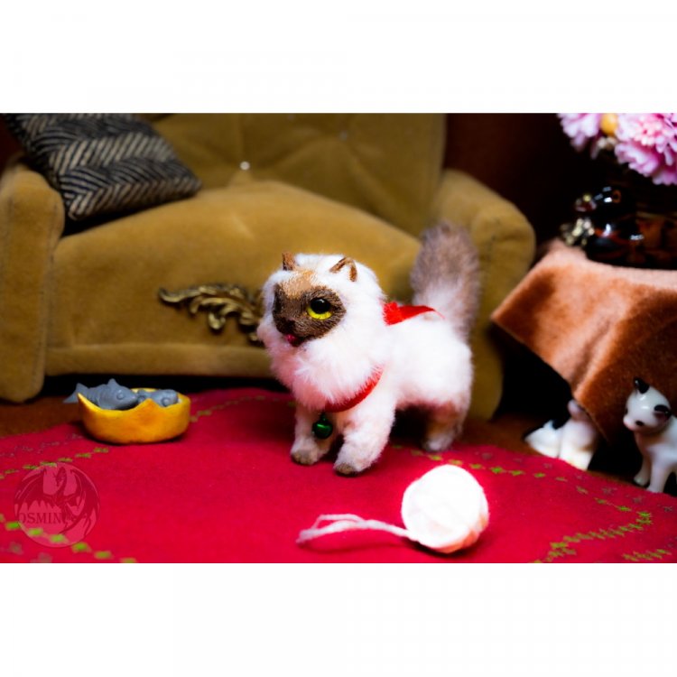 Harlequin Cat Plush Toy