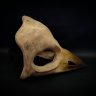 Raven Skull Mask